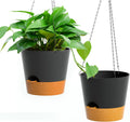 Hanging Planters for Indoor Outdoor Plants, 2 Pack Self Watering Hanging Pot with Drainage Holes and Plant Hangers, Hanging Baskets Flower Pots for Home Garden Decor (Black, 10 inch)