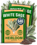 HOME GROWN White Sage Seeds 646 Pack 𝗡𝗢𝗡-𝗚𝗠𝗢, 𝗨𝗦𝗔-𝗦𝗢𝗨𝗥𝗖𝗘𝗗 Heirloom Seeds - Grow Aromatic Sage Plants for Your Herb Seeds Garden with Sage for Planting Outdoor or Indoor (Salvia apiana)