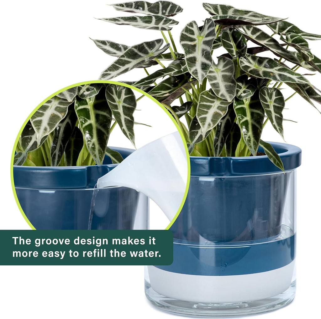 D'vine Dev 10 Inch Design Self Watering Planter for Indoor Plants, Blue Terracotta Pot with Cylinder Glass Cup, 37-X-D-4