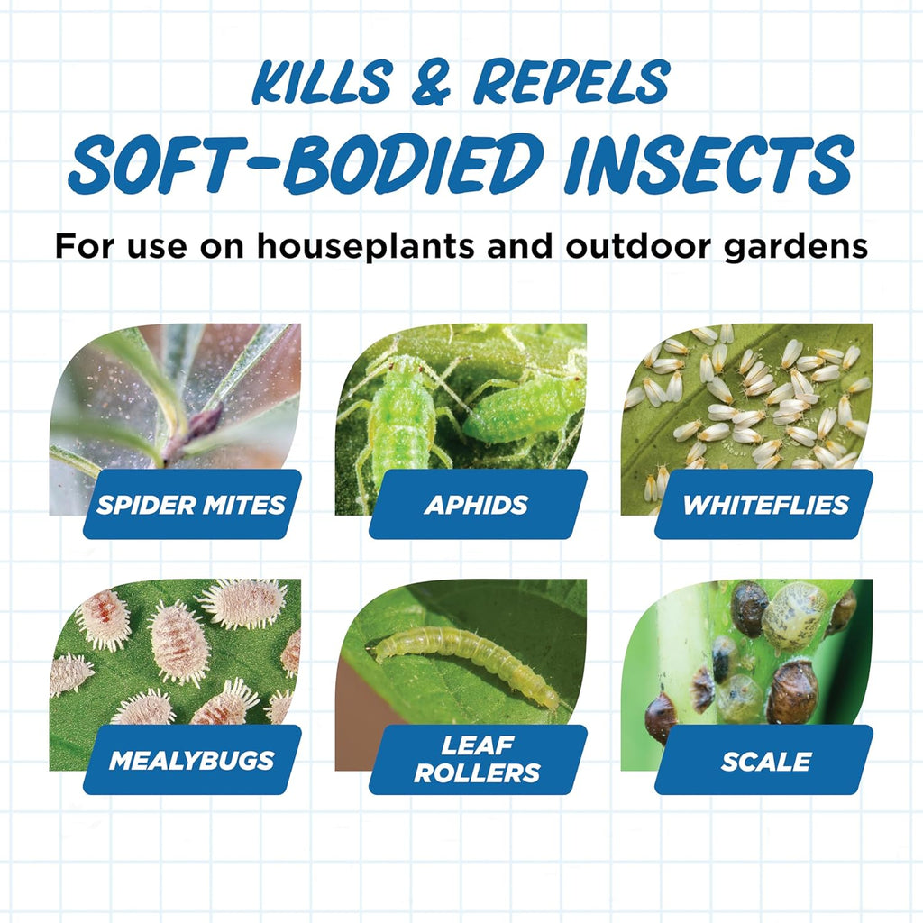 Earth's Ally Insect Control for Plants Ready-to-Use 24 oz | Safe Outdoor & Indoor Plant Insecticide, Spider Mite, Aphid & Mealybug Killer - Effective Spray for Organic Garden & Household Plants