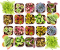 Shop Succulents Endless Summer Succulent Pack Collection - Live Mini Succulent Plants, Low Maintenance, Colors & Textures - Wedding and Party Favors, Gift & Garden, Pack of 20