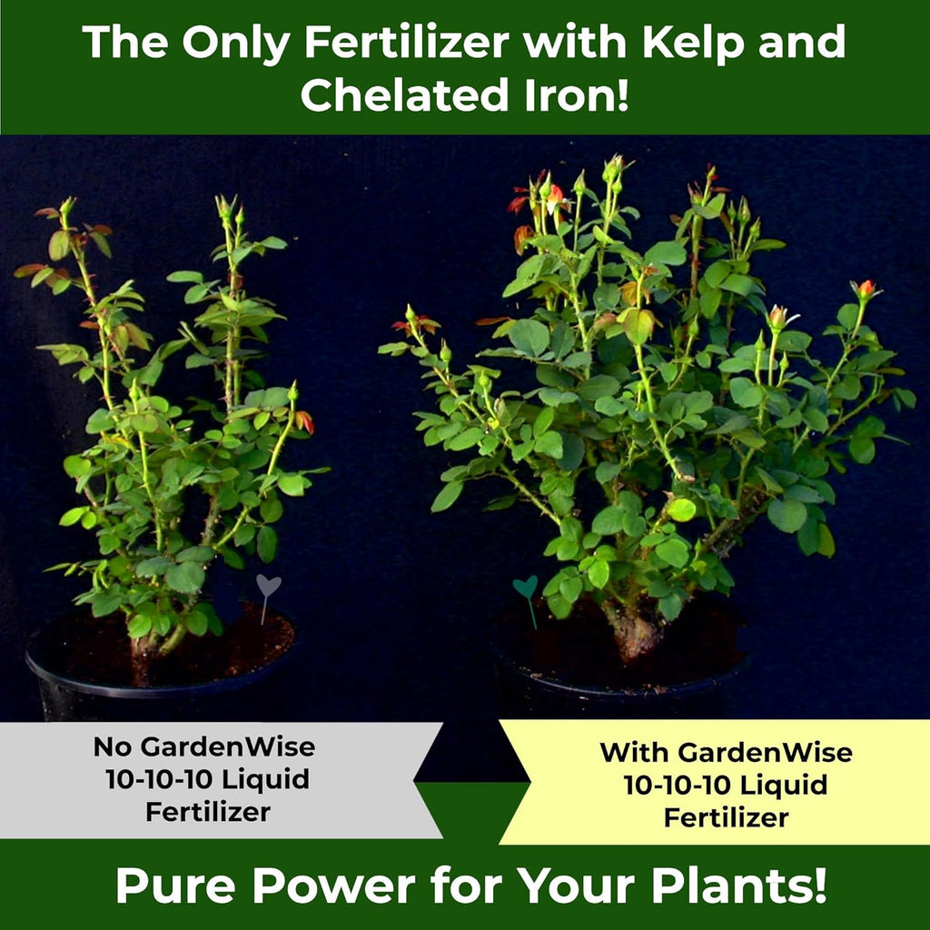 10-10-10 All Purpose Plant Food - Liquid Fertilizer with Seaweed Kelp & Iron - Indoor & Outdoor Plant Food, Vegetables, Flowers, Lawn & Garden 1x8oz