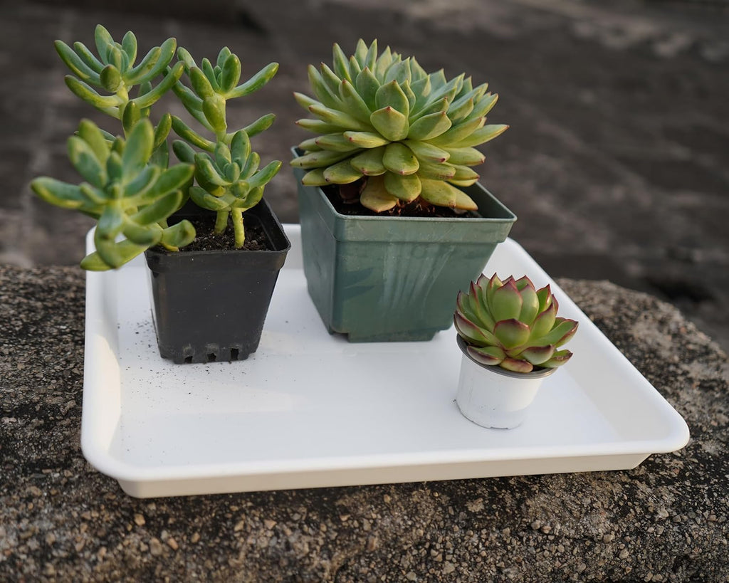 4 Pack Plant Saucer Tray, Plant Growing Nursery Trays, Heavy Sturdy Seed Starting Trays, Plant Starter Trays for Indoors No Holes, Seed Starter Growing Tray (17.5"x10.6", Creamy White)