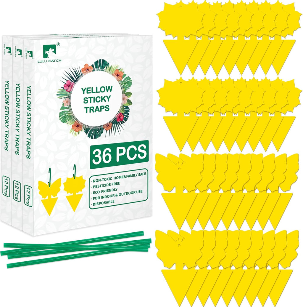 LULUCATCH Fruit Fly Sticky Trap 36 Pack, Safe Gnat Traps for Fruits, Plants, Super Sticky Fly Trap for Indoor, Outdoor, Kitchen, Insect Catcher for White Flies, Mosquitos, Fungus Gnats, Flying Insects