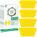 LULUCATCH Fruit Fly Sticky Trap 36 Pack, Safe Gnat Traps for Fruits, Plants, Super Sticky Fly Trap for Indoor, Outdoor, Kitchen, Insect Catcher for White Flies, Mosquitos, Fungus Gnats, Flying Insects