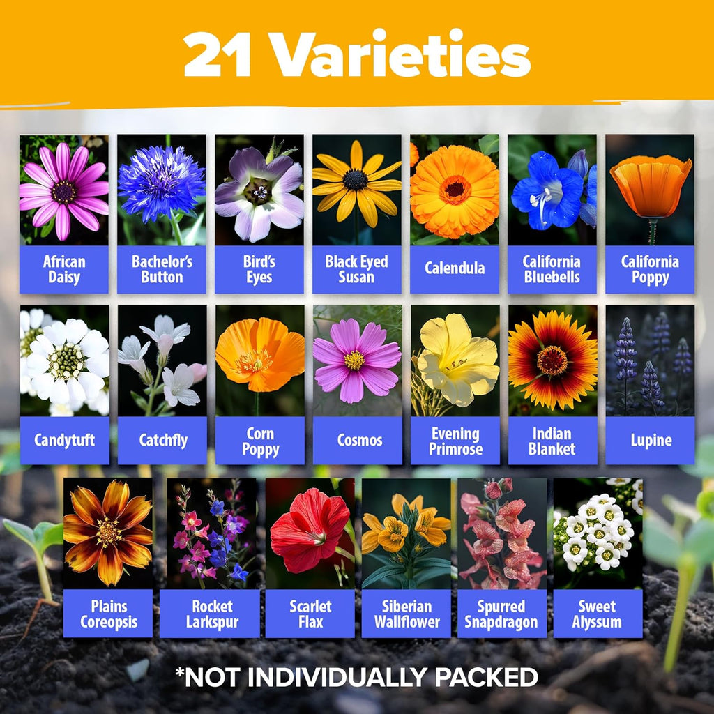 HOME GROWN Wildflower Seeds Mix - 110,600+ Seeds, 21 Varieties, Non-GMO Wild Flower Seeds for Planting, Annual Flowers, Butterfly Garden, Pollinator Seed Mix