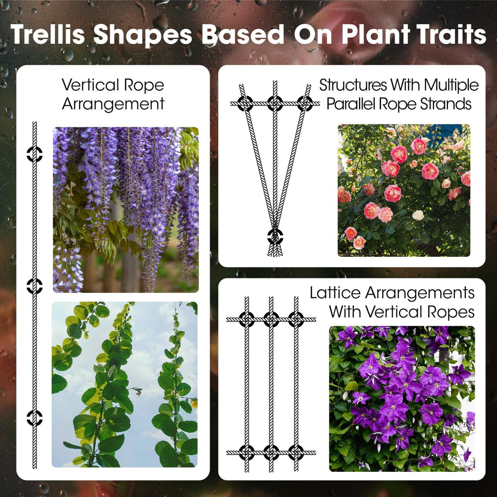 Professional T316 Stainless Steel Wire Trellis Kit for Climbing Plants Outdoor, Heavy Duty Plant Support System (53Ft x 1/8"), Garden Wire Grid Espalier Trellis Kit with Rust Proof Design