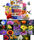 HOME GROWN Premium Wildflower Seeds Bulk Mix (2oz) - 59,300+ Seeds with 19 Varieties for Pollinators - Wild Flower Seed for Bees, Butterflies - Perennial & Annual Throw and Grow Seed Mix