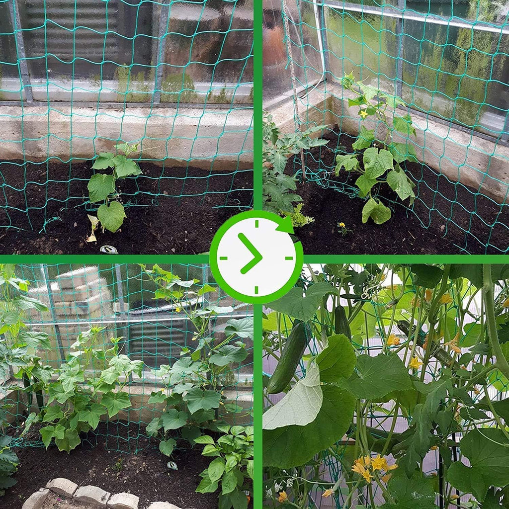 Trellis Netting for Climbing Plants - Heavy Duty Garden Trellis Netting for Cucumber, Vine, Fruits & Vegetables Tomato Plants Trellis Net, Climbing Vining Plants (2-Pack 32.8' x 6.6'Ft)