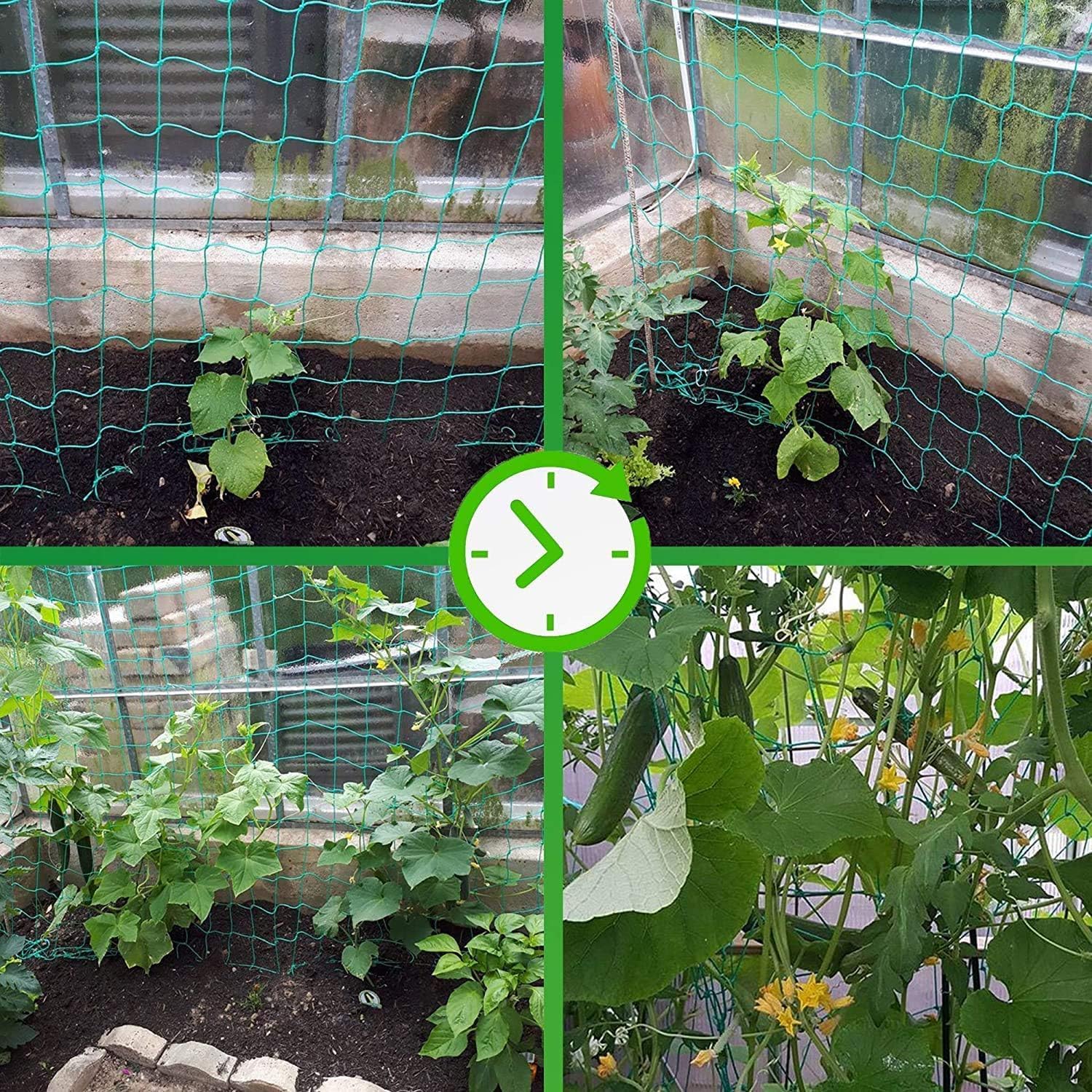 Trellis Netting for Climbing Plants - Heavy Duty Garden Trellis Netting for Cucumber, Vine, Fruits & Vegetables Tomato Plants Trellis Net, Climbing Vining Plants (2-Pack 32.8' x 6.6'Ft)