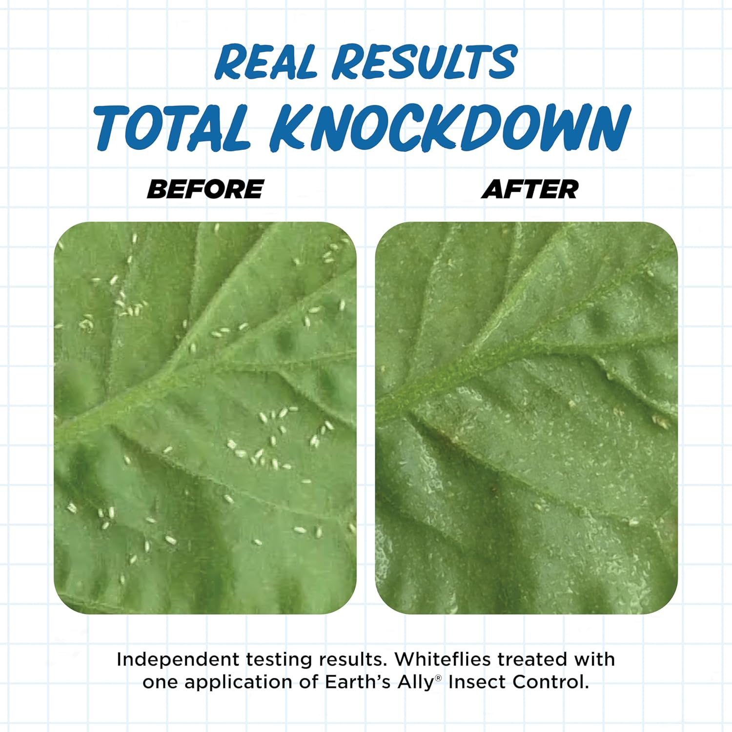Earth's Ally Insect Control for Plants Ready-to-Use 24 oz | Safe Outdoor & Indoor Plant Insecticide, Spider Mite, Aphid & Mealybug Killer - Effective Spray for Organic Garden & Household Plants