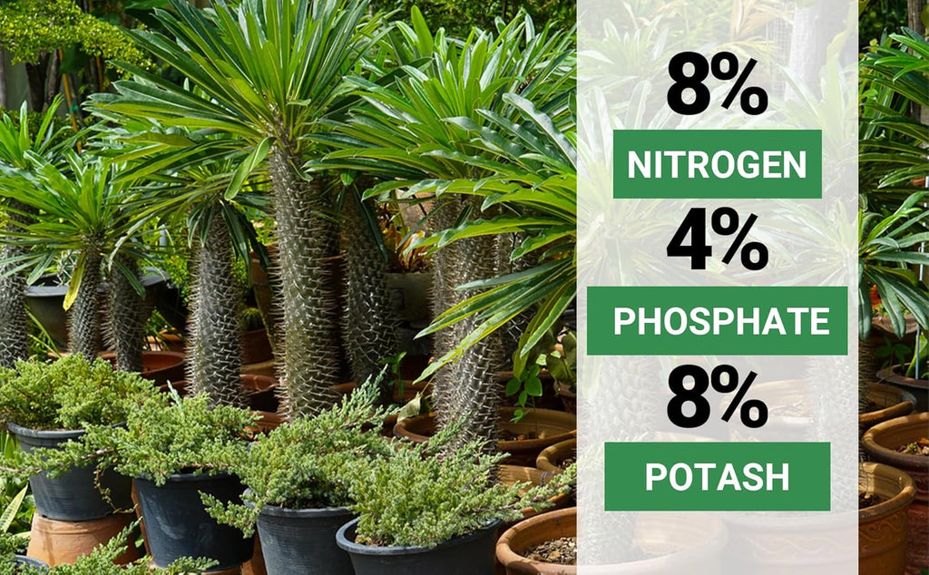 8-4-8 Professional Palm Tree Fertilizer Plant Food; for Indoor Potted Plants and Outdoor Landscape Palm Trees; Quick-Release Nitrogen Fertilizer and Continuous Feeding (1/2 Quart)