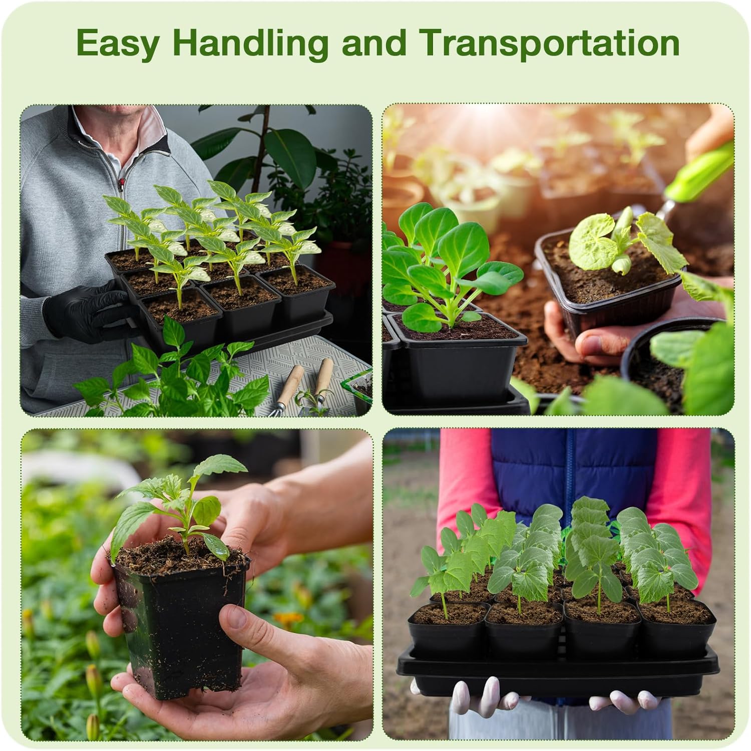 50Pcs 3.5inch Square Nursery Pots with 5Pcs Seed Starting Trays, Seed Starter Tray Kit, Seeds Starting Germination, Seeding Pots with Drain Holes, Small Plant Nursery Propagation