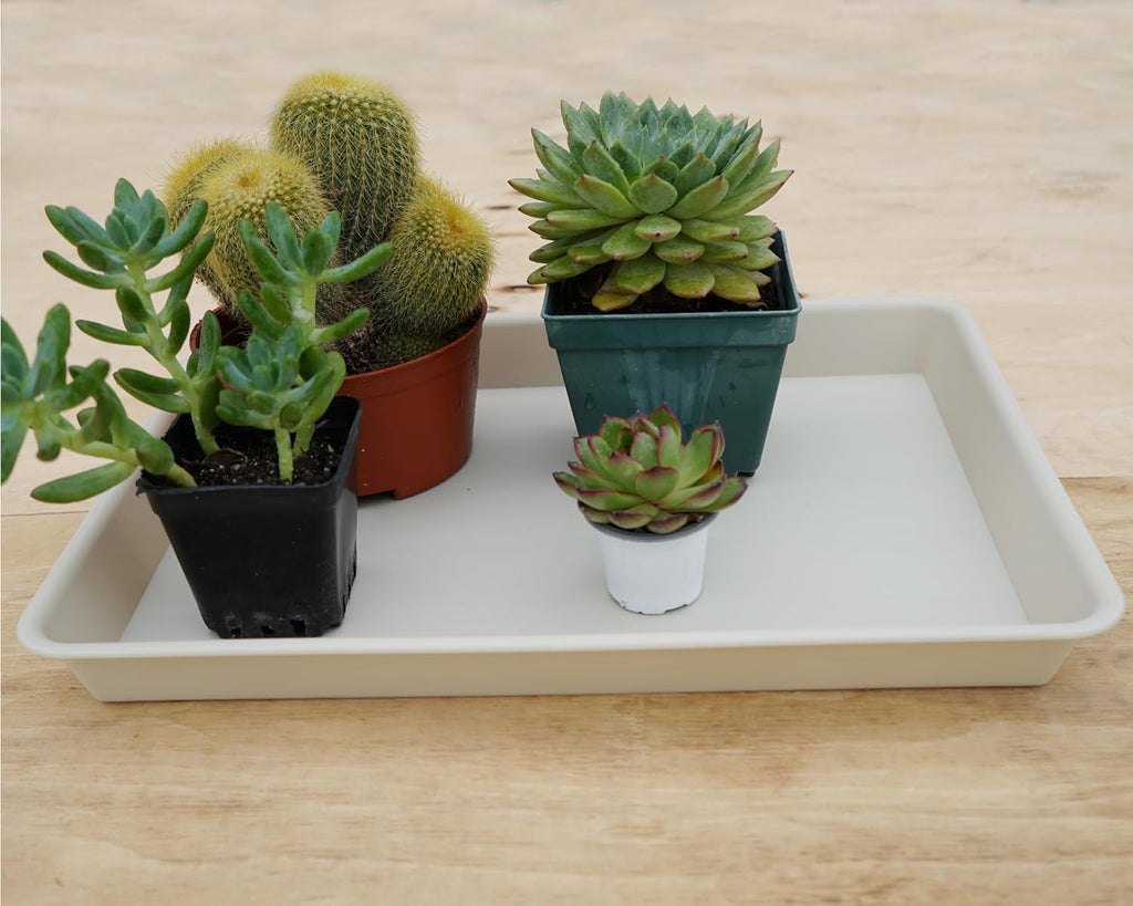 Plant Saucer Growing Tray, Seed Starter Tray Rectangular, Heavy Sturdy Plastic Plant Saucers Drainage Trays, Plant Drip Trays for Pots, Seed Starter Growing Tray (11 x 9 inch, 1 Pack)
