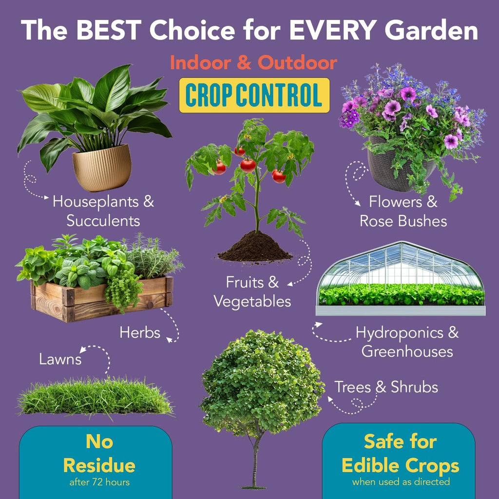 Trifecta Crop Control Super Concentrate All-in-One Natural Pesticide, Fungicide, Miticide, Insecticide, Help Defeat Spider Mites, Powdery Mildew, Botrytis, Mold and More on Plants 32 OZ