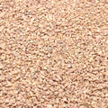 Coarse Sand. Yellow Color. 1/8 Inch 2 lbs. for Succulents, Pots, Plants, Gardening, Indoor, Crafting, Vase Fillers, Landscaping (X-Mini, COARSE Sand - Yellow, 2)