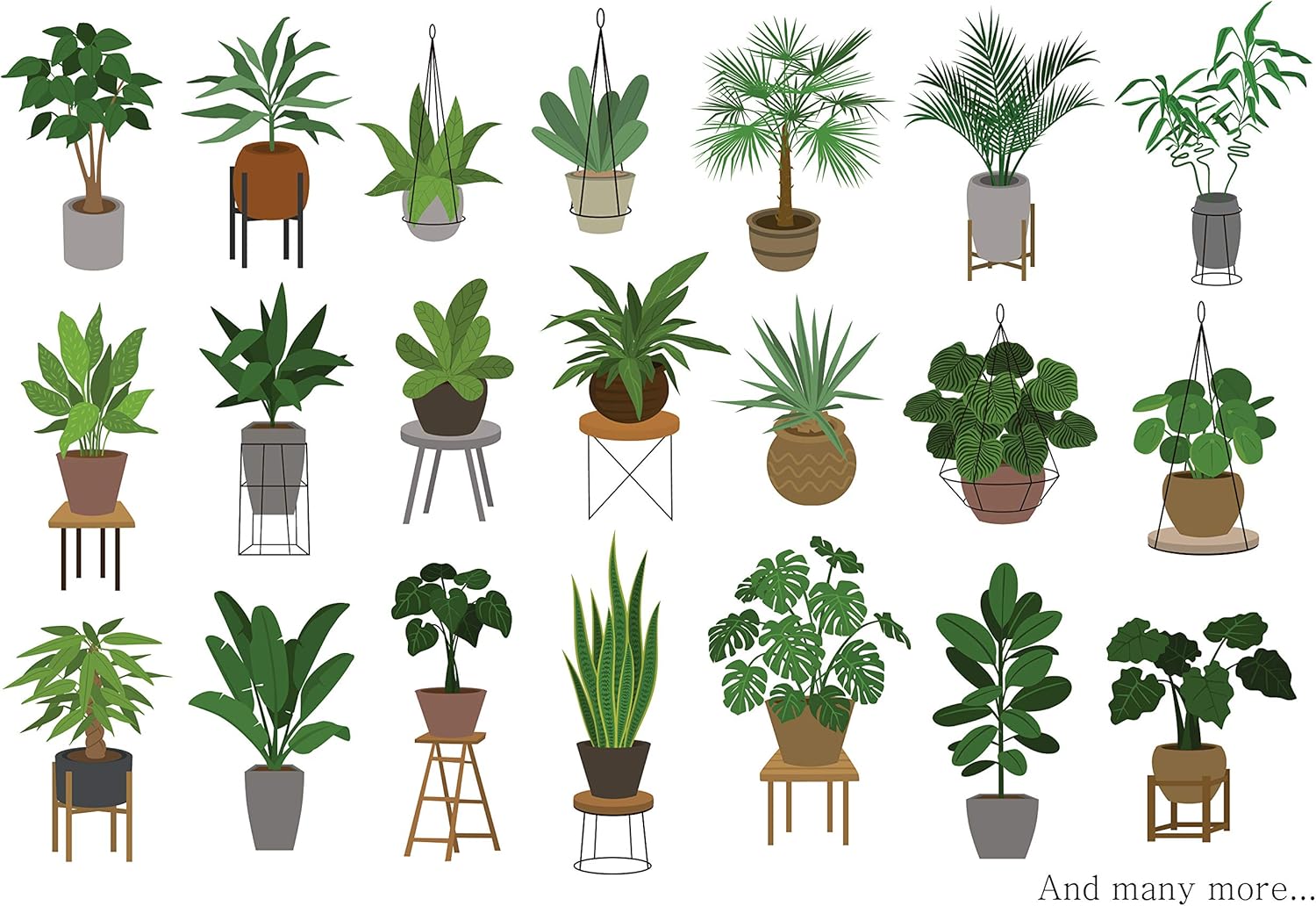 Indoor Plant Food | All-purpose House Plant Fertilizer | Liquid Common Houseplant Fertilizers for Potted Planting Soil | by Aquatic Arts