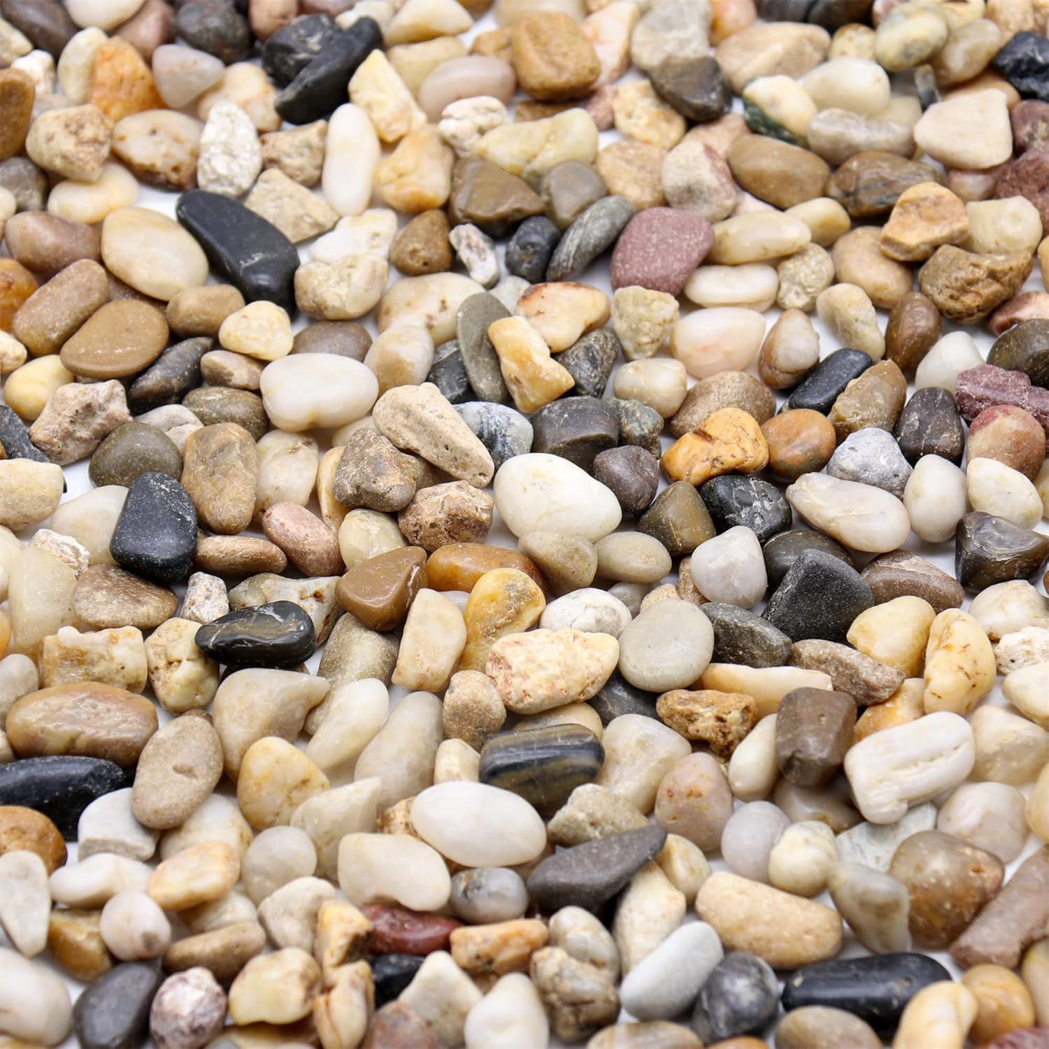 Rocks for Plants. Mixed Color Decorative Pebbles. 1/5 Inch 2 lbs. for Garden, Landscaping, Indoor, Vase fillers, Crafting, Succulents, pots, Plants (Mini (0.2 Inch), Mixed Color, 2)