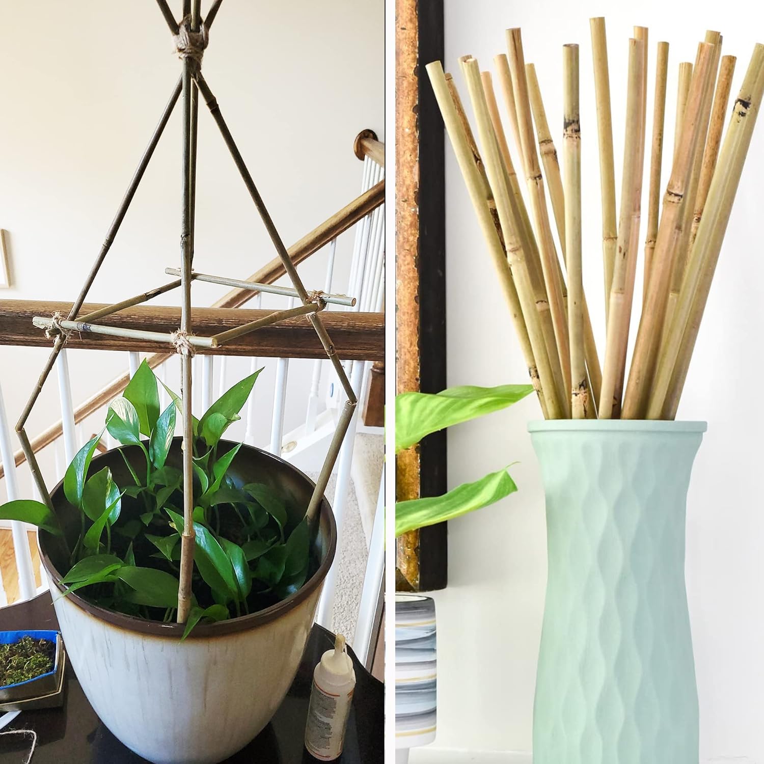 0.32”-0.4"/ 4 Feet Garden Stakes, Natural Bamboo Sticks Plant Stakes for Indoor and Outdoor Plants，Poles for Tomatoes, Beans, Potted Plants(50Pcs)