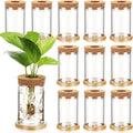 Baderke 12 Packs Propagation Vases for Plants Plastic Plant Propagation with Hole Lid and Bamboo Stand Growing in Water Hydroponic Home Office Desktop Vase Decoration(Classic Style)