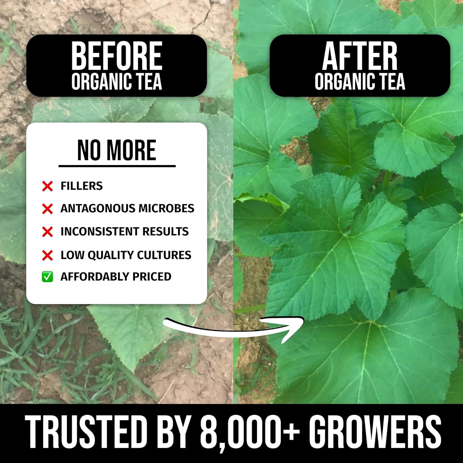 Organic Instant Compost Tea (1 lb) – Probiotic Plant Food Bloom Booster & Yield Booster for Hydroponics & All Gardening Types | Microbial Formula Converts Amino Acids for Enhanced Growth (1, Pounds)