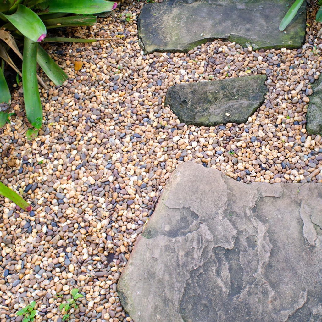20lbs Natural River Rocks, 1/4" Aquarium Gravel Small Rocks for Plants Pea Gravel for Fish Tank, Decorative Pebbles for Gardening, Flower Pots, Vase Fillers, Indoor Water Fountains, Landscaping