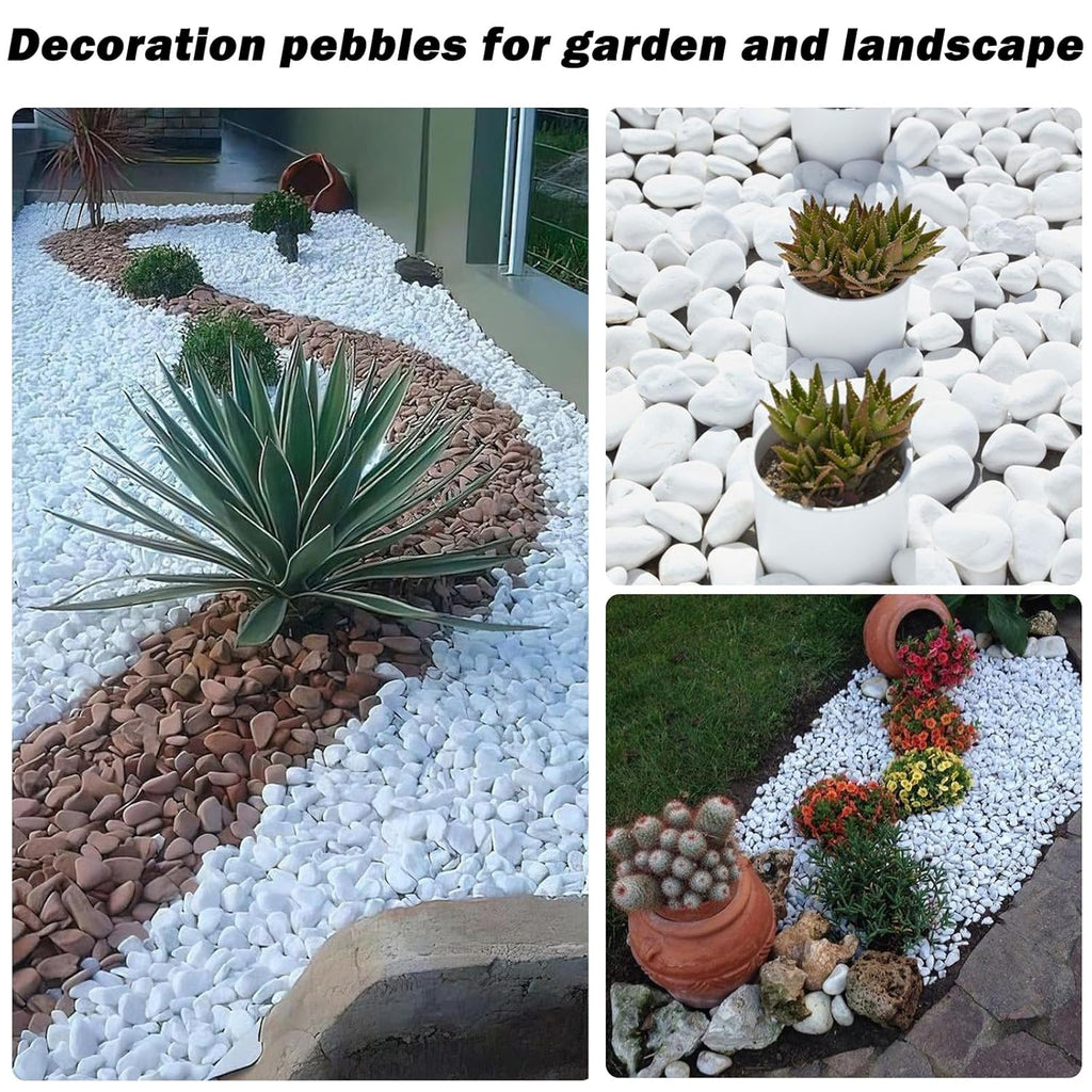 17.6 Lbs Natural River Rocks for Plants 1''-2'' Large Landscaping Garden Stones White Aquarium Gravel Decorative Pebbles for Indoor Outdoor Planters, Big Terrarium Rocks in Bulk, Home Decor