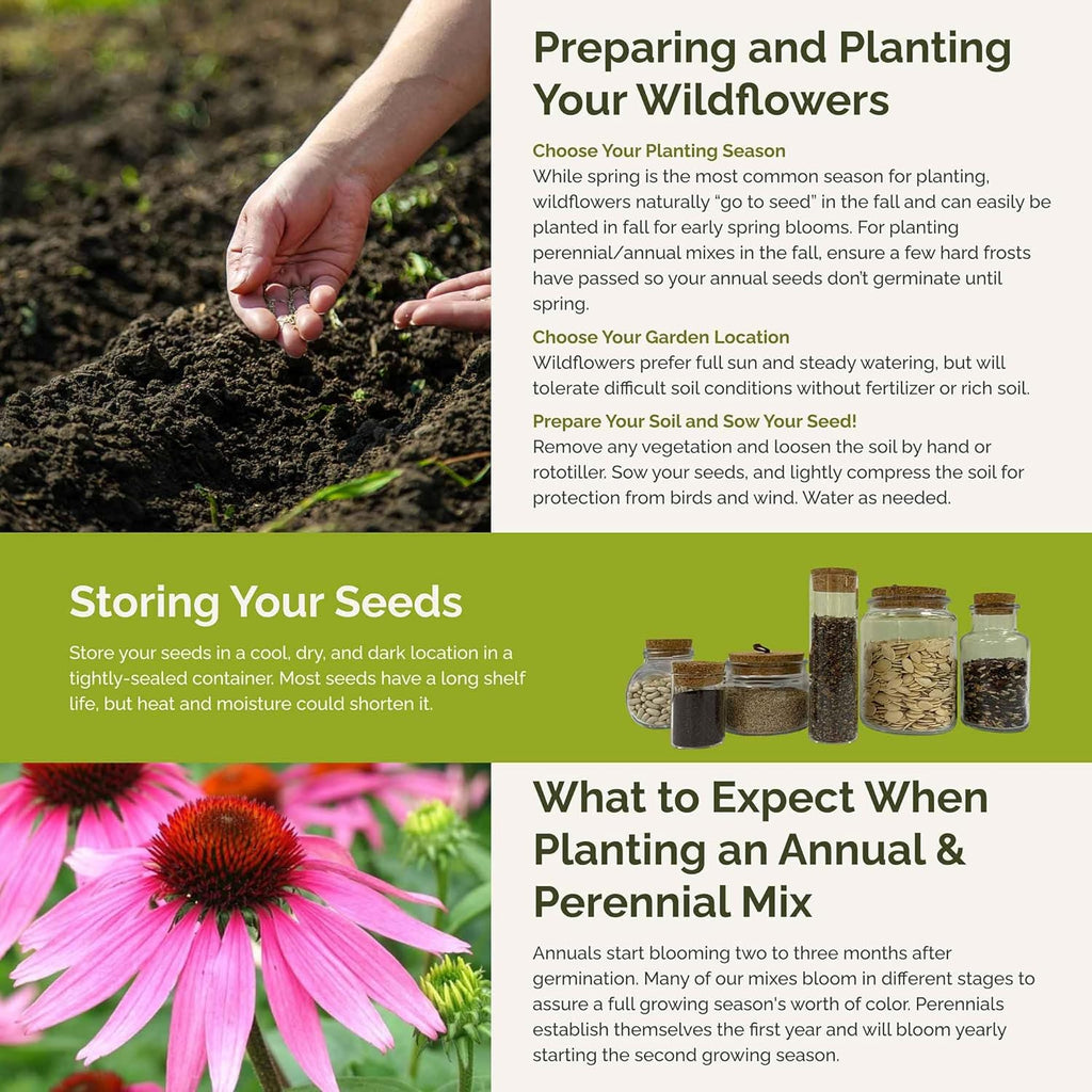 Eden Brothers Heirloom Flower Mixed Seeds for Planting, 10 lb, 4,800,000+ Seeds with Zinnia, Toadflax, Evening Primrose | Attracts Pollinators, Plant in Spring or Fall, Zones 3, 4, 5, 6, 7, 8, 9, 10