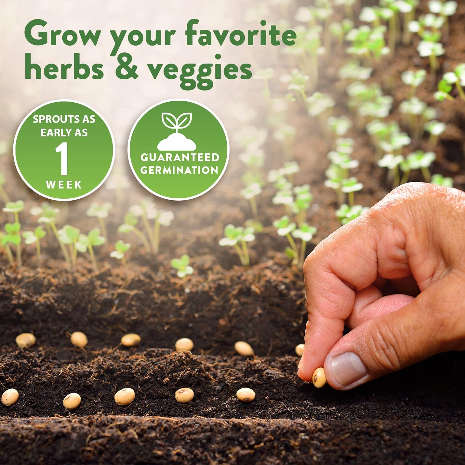 HOME GROWN 70 Variety Vegetable & Herb Seeds – 32,000+ USA Non-GMO Heirloom Survival Seeds –Garden Kit for Spring, Fall, Winter – Indoor & Outdoor Planting – Starter Set for Home Gardeners & Preppers