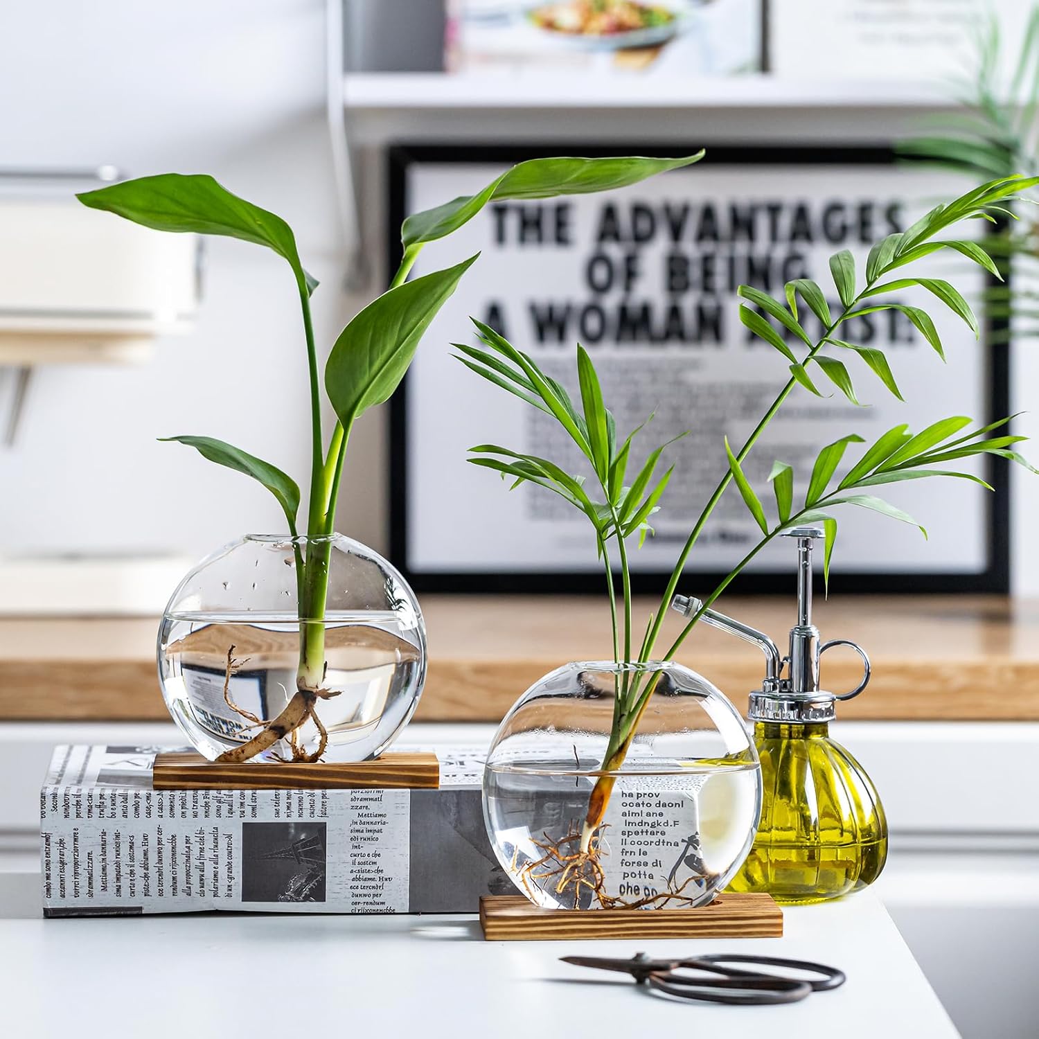 Glass Planter Propagation Station with Wooden Base - Clear Oblate Hydroponic Vase, Decorative Desktop Flower Vase for Home, Office, Windowsill - Gift for Plant Lovers (4)
