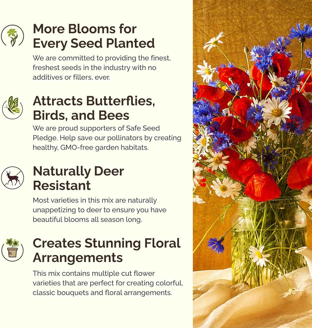 Eden Brothers Field of Dreams Flower Mixed Seeds for Planting, 1/4 lb, 120,000+ Seeds with German Chamomile, Cornflower | Attracts Pollinators, Plant in Spring or Fall, Zones 3, 4, 5, 6, 7, 8, 9, 10