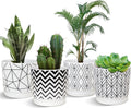 Ton Sin Plant Pots,5.5 Inch White Pots for Indoor Plants with Drainage Holes,Cylinder Flower Pot Ceramic Planters with Saucer,Cactus Succulent Outdoor Garden Pots Set of 4