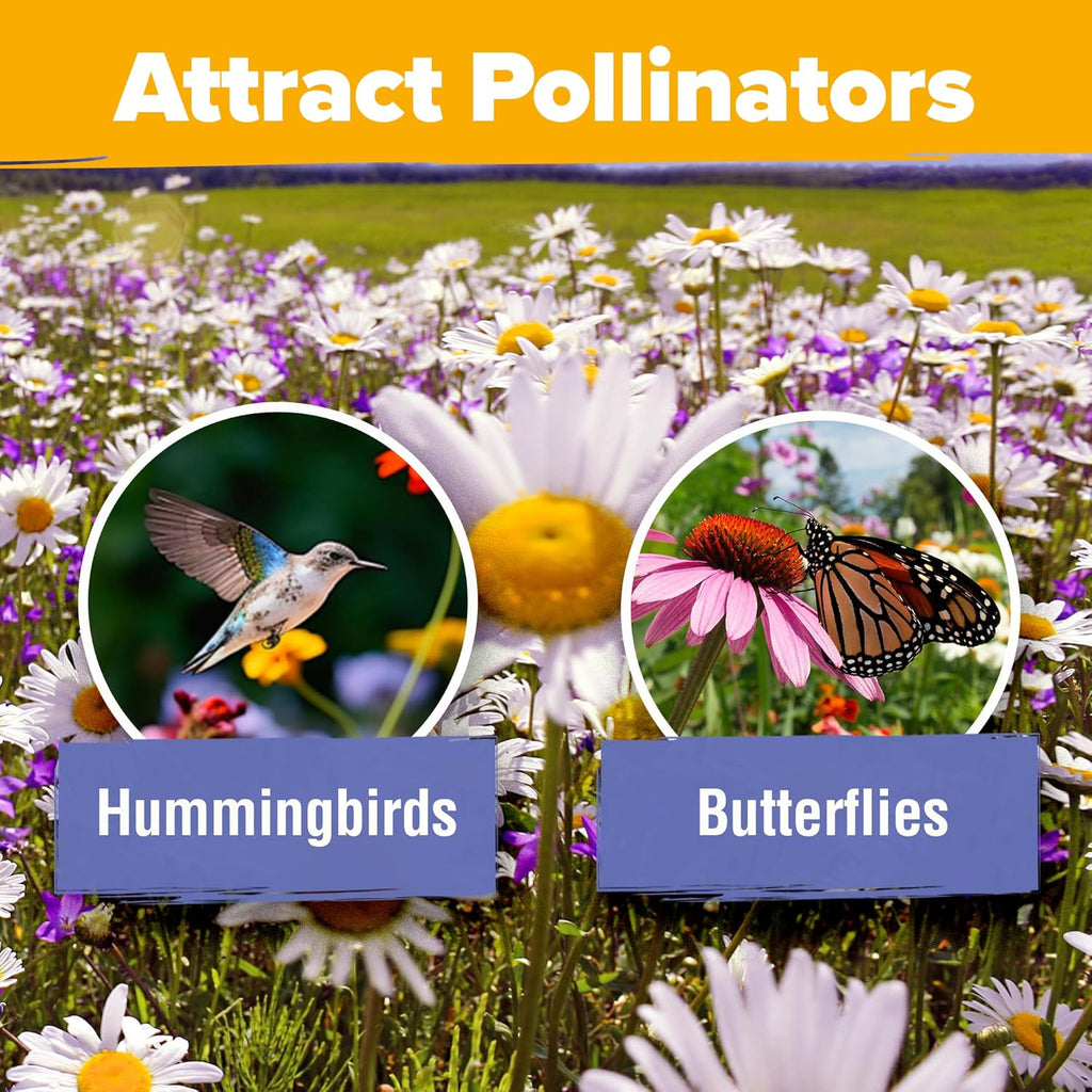 HOME GROWN 𝗨𝗦𝗔 𝗣𝗥𝗘𝗠𝗜𝗨𝗠 Wildflower Seeds - 44,000 Non GMO USA Perennial Seeds (2oz) 19 Varieties for Butterfly & Pollinator Garden - Wild Flower Seed Mix for Full Sun & Shade