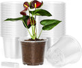60 Pack 6 Inch Clear Nursery Pots with Drainage Holes, Transparent Plastic Plant Pots, Reinforced Seed Starter Garden Flower Pots, Comes with 50pcs Plant Labels