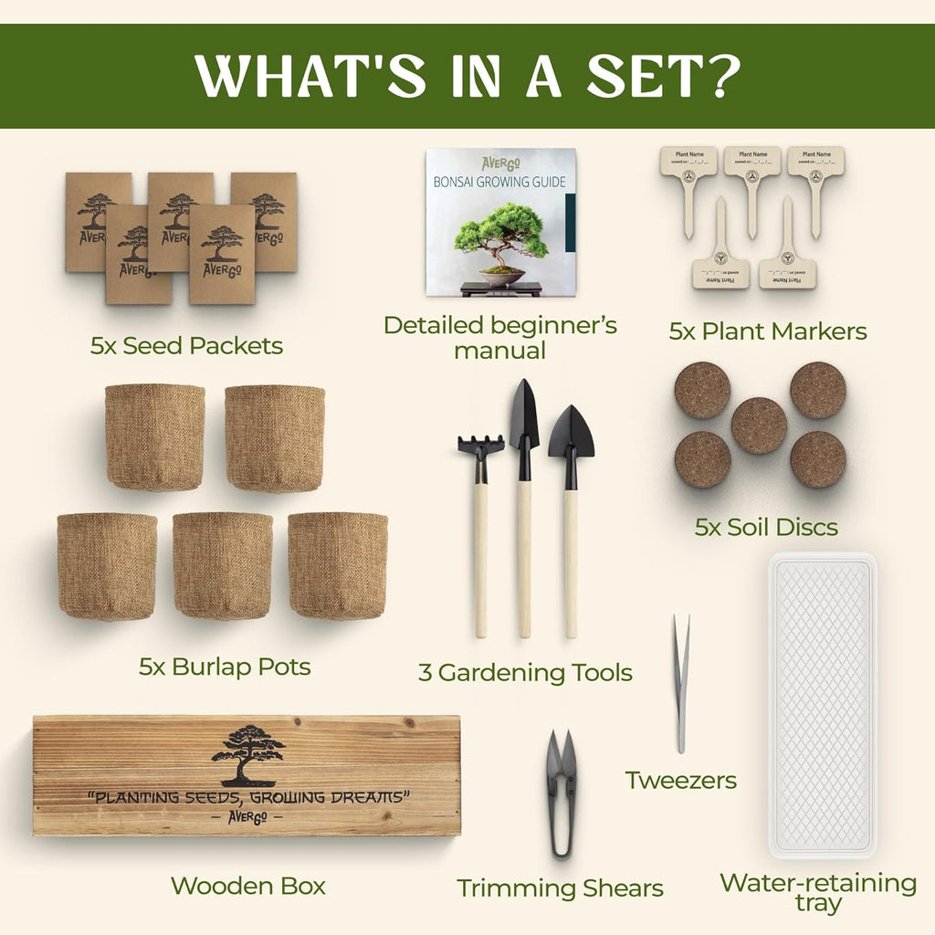 Bonsai Tree Kit for Beginners – 5X Unique Japanese Bonzai Trees | Complete Indoor Starter Kit for Growing Bonsai Plants with Tools & Planters – Gardening Gifts for Women & Men