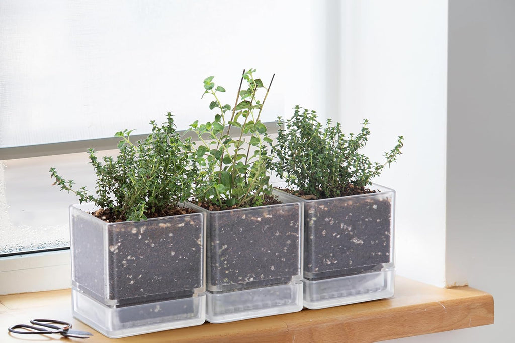 4 Inch Herb Planter Pot, Plastic Planter with Drainage Holes and Saucer, Modern Decorative Gardening Pot for Indoor Plants, Flowers, Herbs, Succulents, Clear, Set of 6, 76-Y-D-6