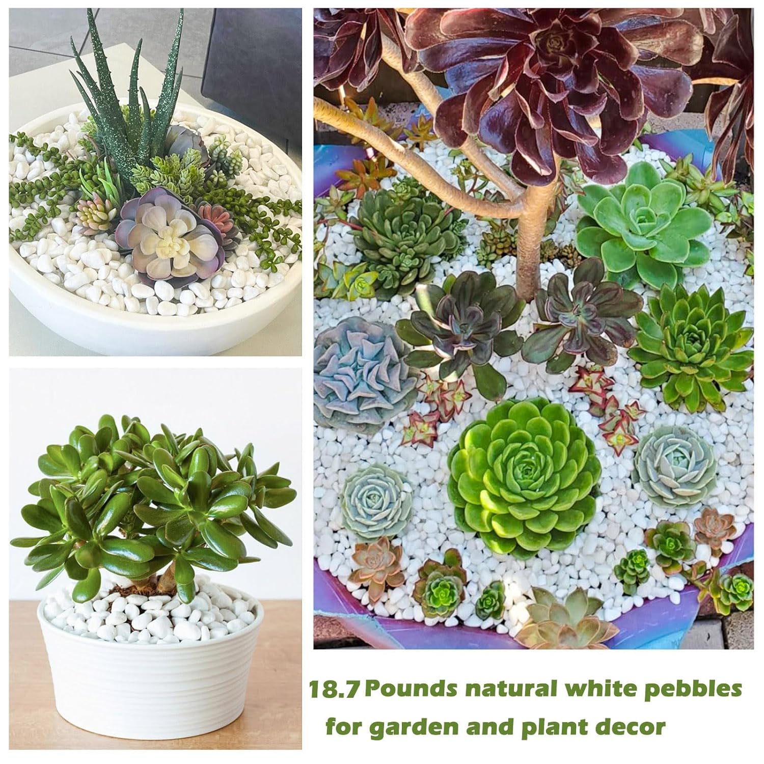 18.7 Lbs Natural River Rocks for Plants 0.6"-0.8" Small White Landscaping Garden Stones White Aquarium Gravel for Decorative Pebbles for Indoor Outdoor Planters