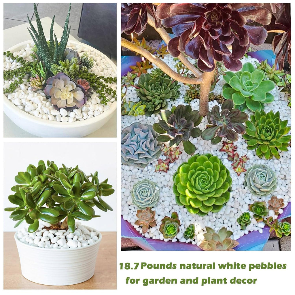 18.7 Lbs Natural River Rocks for Plants 1.6"-2.5" Small White Landscaping Garden Stones White Aquarium Gravel for Decorative Pebbles for Indoor Outdoor Planters