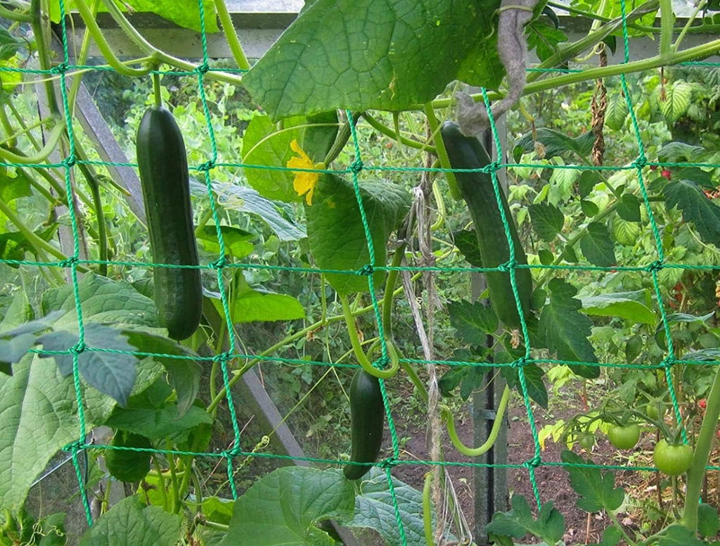 Trellis Netting for Climbing Plants - Heavy Duty Garden Trellis Netting for Cucumber, Vine, Fruits & Vegetables Tomato Plants Trellis Net, Climbing Vining Plants (2-Pack 32.8' x 6.6'Ft)