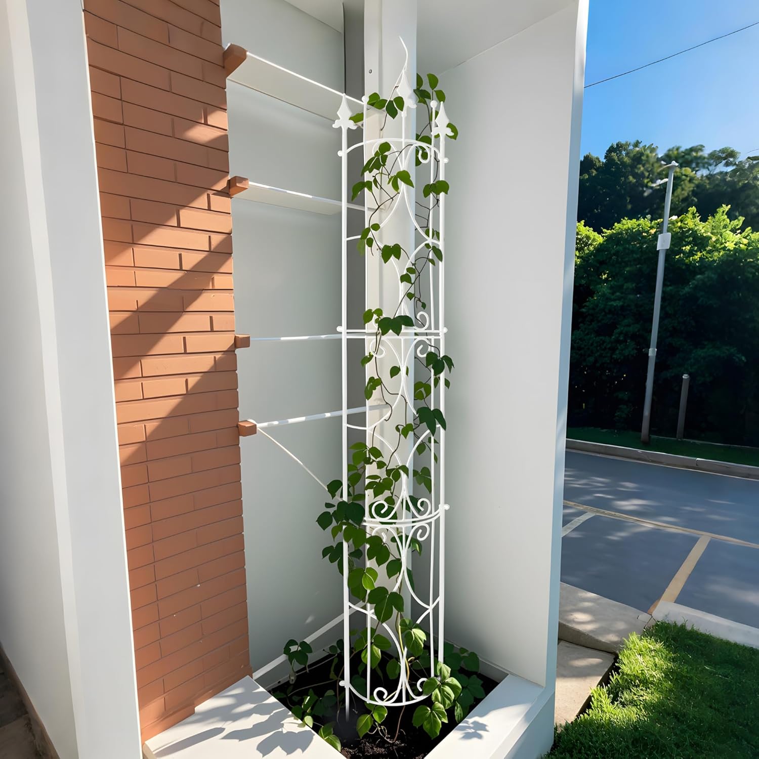 Garden Trellis 2 Pack 72'' H x 12'' W Metal Plant Trellis Indoor/Outdoor Metal Garden Trellis Plant Trellis for Potted Plants Climbing Houseplants Flowers