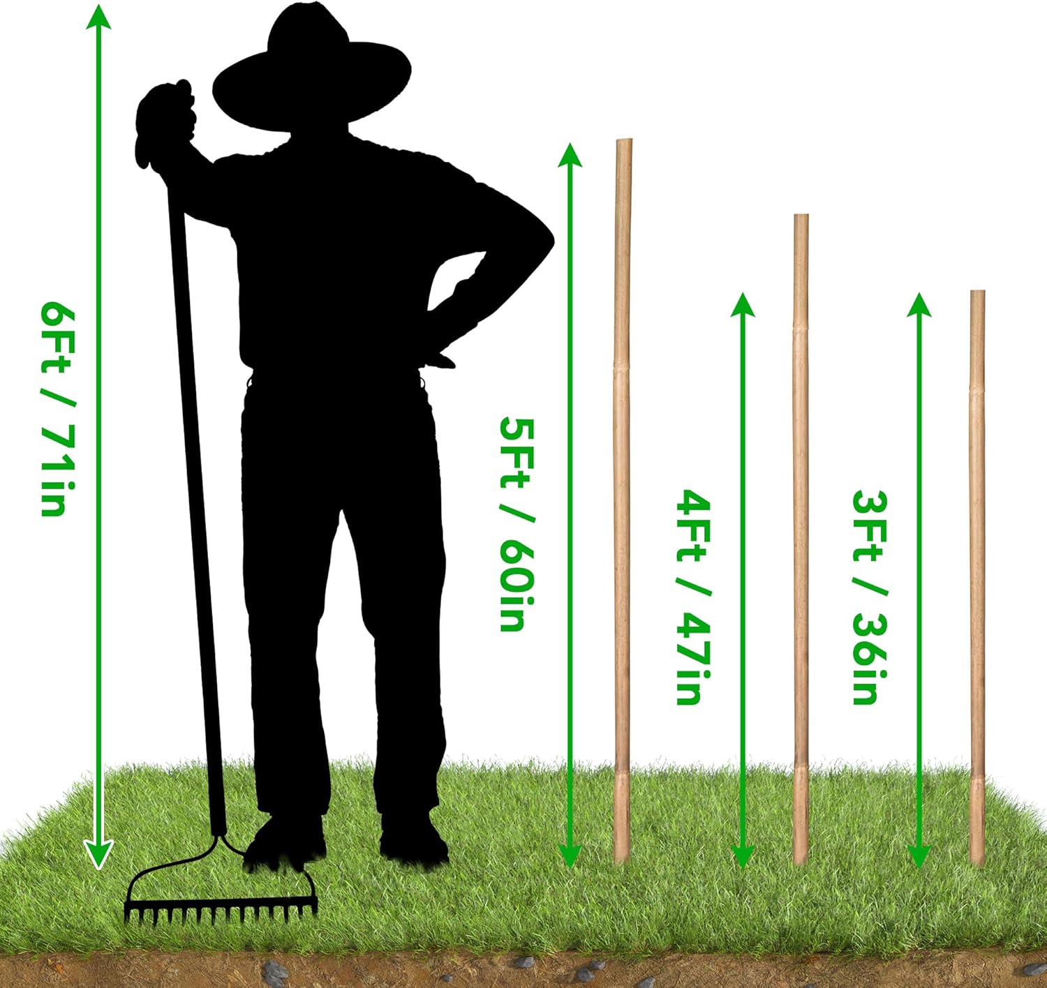 SWANGSA 55 Pack Bamboo Stakes for Plant 5 Feet(57.5inch) Bamboo Sticks for Garden Plant Support Stakes Poles for Tomatoes, Beans, Flowers, Trees, Indoor and Outdoor Climbing Plants