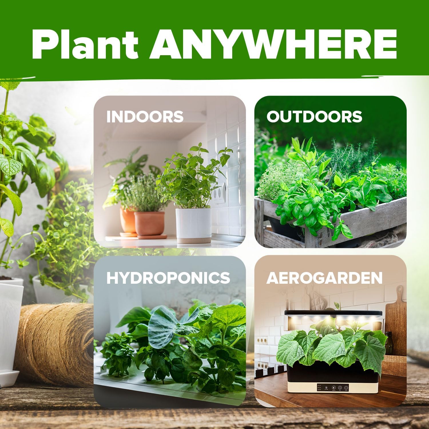 HOME GROWN 25 Herb Seeds for Planting 8,700+ Non-GMO Heirloom Seeds | Extra Large Variety Pack Herb Kit – Indoor Outdoor & Hydroponic | Culinary Seed Set | Grow Your Own Herbs | Gardening Gift
