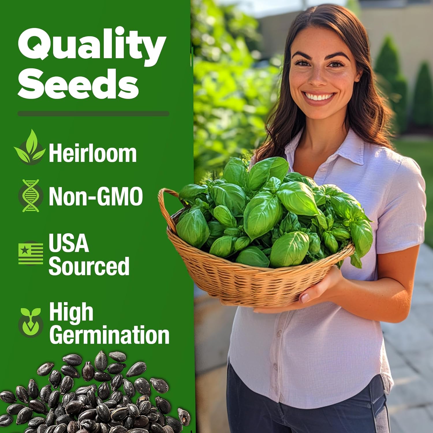 HOME GROWN Genovese Basil Seeds 2 Pack - 3500 𝗡𝗢𝗡-𝗚𝗠𝗢 𝗨𝗦𝗔 Heirloom Basil Seeds for Planting (Ocimum basilicum) - Herb Seeds for Indoor & Outdoor Gardening - Grow for Culinary Use