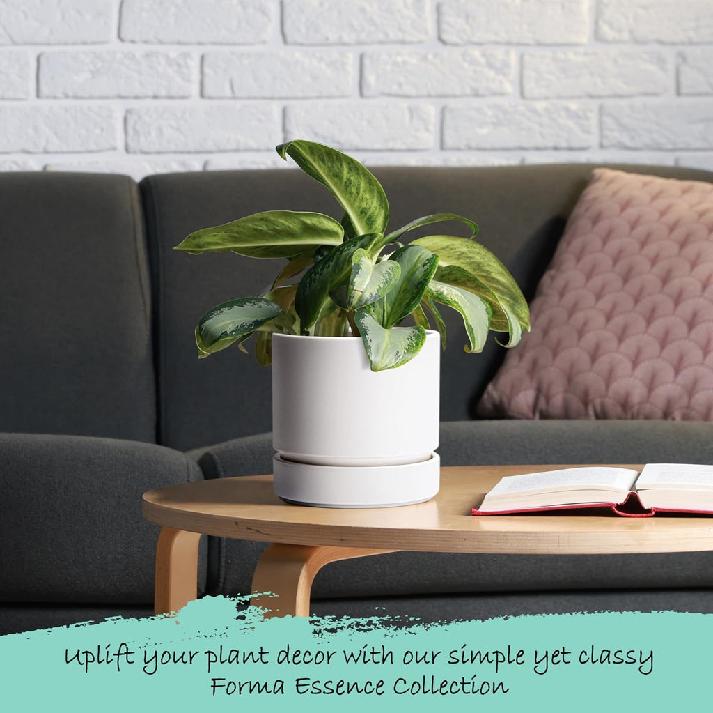 Phoenix Vine 6 Inch Planter Pot with Drainage Hole & Saucer, Deep Water Catch Tray, Straight Cylindrical Round Pot for Plants, Matte White, Pack of 3, 23-B-S-3