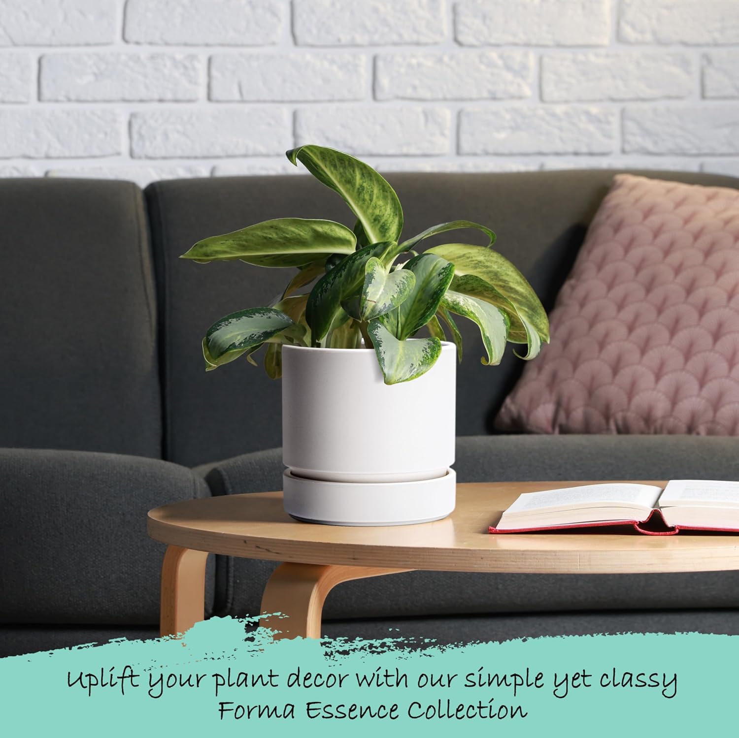 Phoenix Vine 6 Inch Planter Pot with Drainage Hole & Saucer, Deep Water Catch Tray, Straight Cylindrical Round Pot for Plants, Matte White, Pack of 3, 23-B-S-3