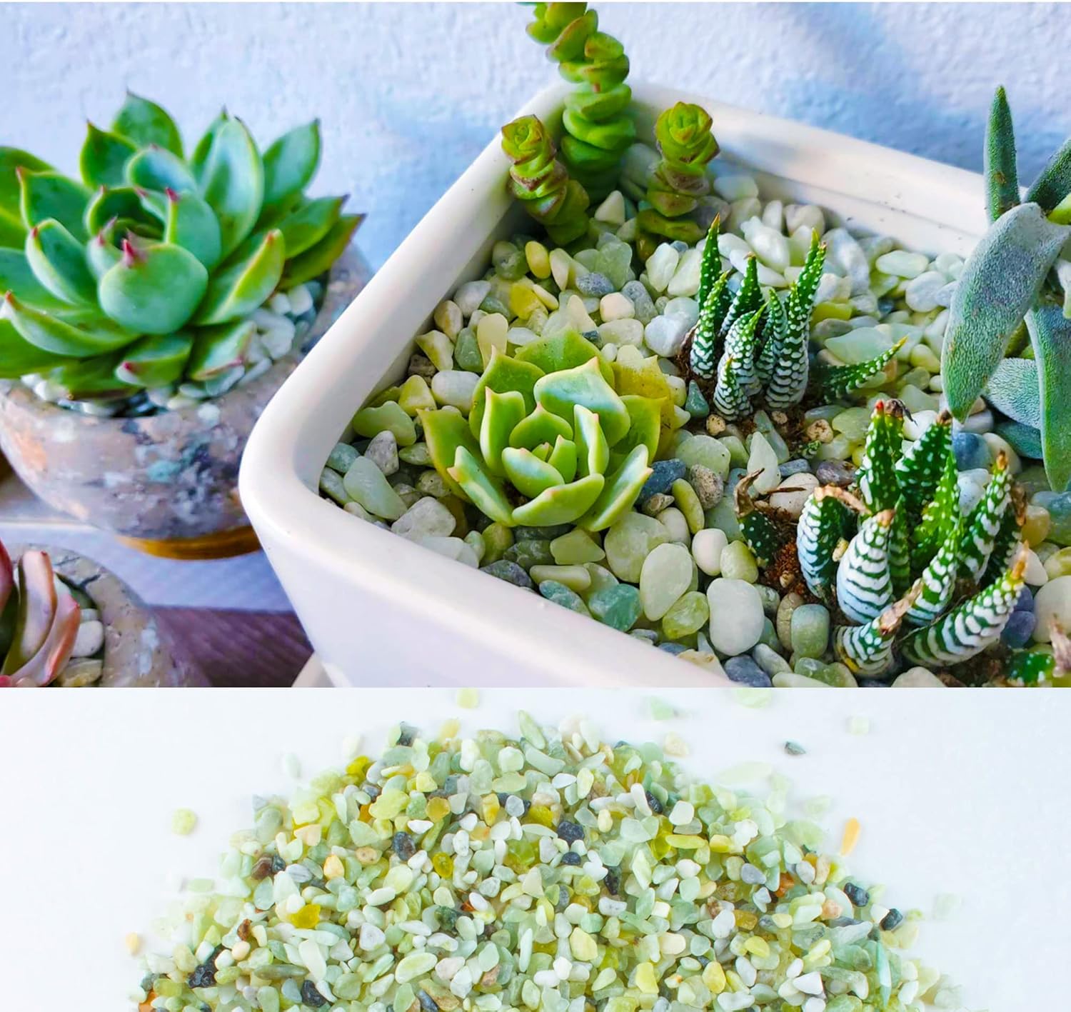 3lb Jade Bean Pebbles,1/4 Inch Cactus Bonsai DIY Rocks, Natural Succulent Rock and River Rocks Decorative for Aquariums, Vases, Terrarium, Outdoor Gardening, Top Dressing for Potted Plants