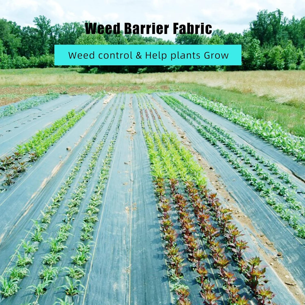 PioneerWorks 6ft X 300ft Weed Barrier Landscape Fabric Heavy Duty, Premium 3.2 oz Ground Cover Weed Block Gardening Mat, Easy Setup & Superior Weed Control, for Erosion Control, Weed Barrier