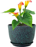 12 inch Large Plant Pots, Plastic Planters with Drainage Holes and Saucers, Flower Pots for Indoor Outdoor Plants, Decorative Pots for Garden House Plants, Black with Green Speckles