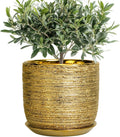 8 Inch Plant Pot - Ceramic Planter with Drainage Hole and Saucer, Modern Round Planter for Indoor Flowers, Gifts for Plant Lovers, Home House Office Room Decor, Gold