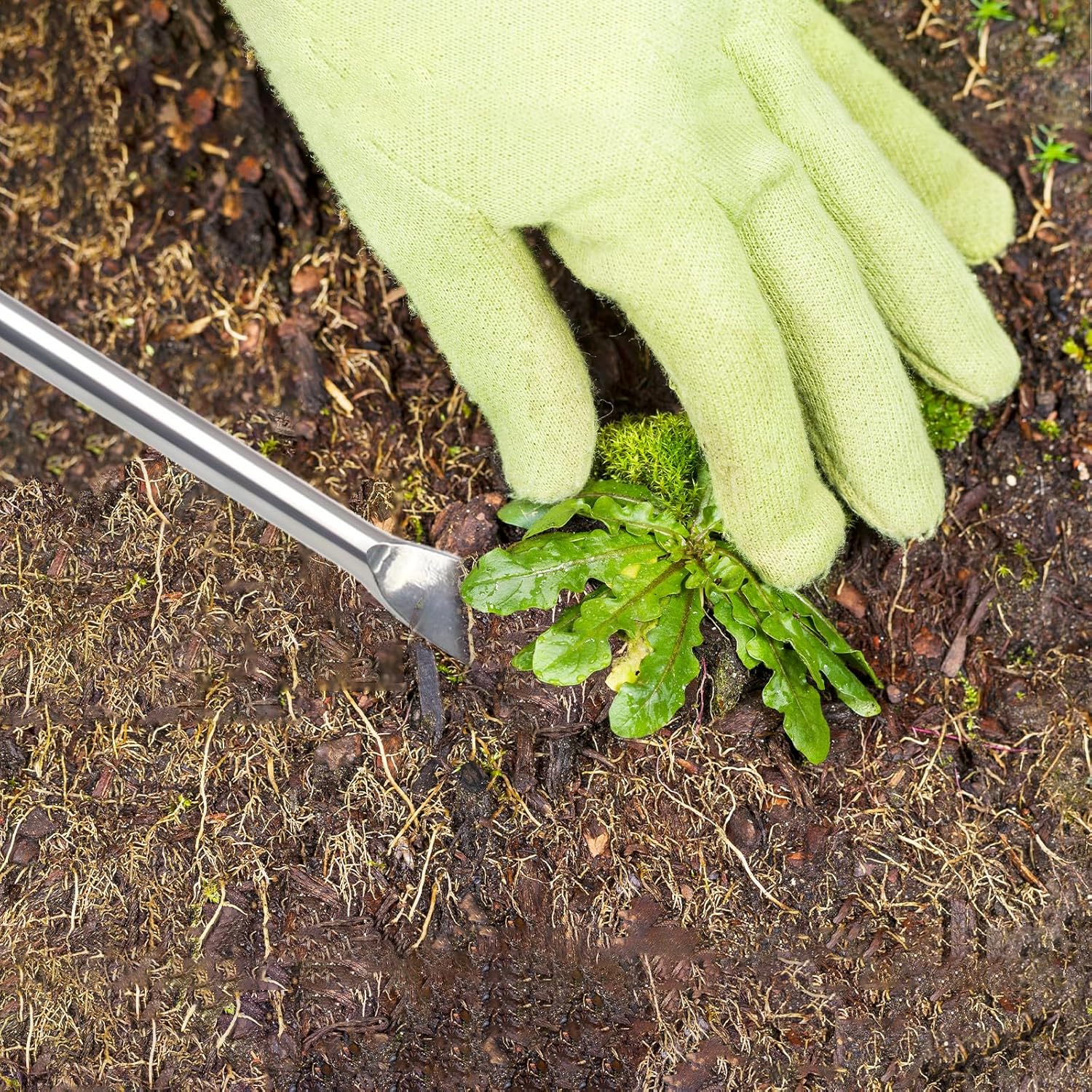 Weed Puller Tool Hand Weeder Dandelion Weeder Tool with Ergonomic Handle, Stainless Steel Manual Weed Puller Bend
